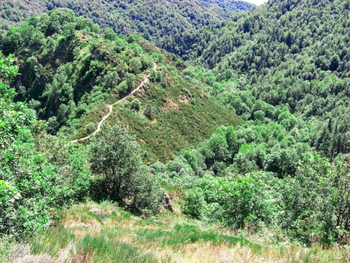 Le Bos Clard Villa Félines Buitenkant foto